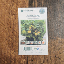 Organic cherry tomato 'Yellow Canary'