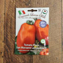 Tomato 'San Marzano Lampadina n°2'