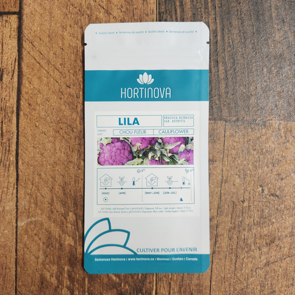 Purple cauliflower 'Lila'