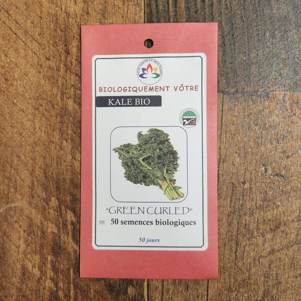 Organic 'Dwarf Green Curled' Kale