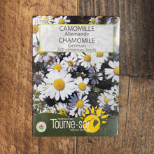 Chamomile