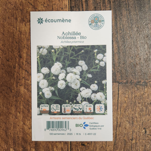 Yarrow noblessa organic