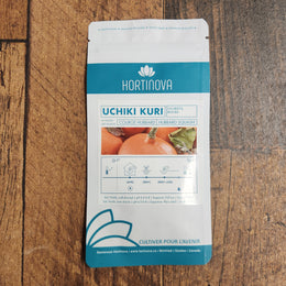 Squash 'Uchiki Kuri'
