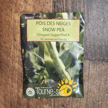 Pois des neiges 'Oregon Sugar Pod II' bio
