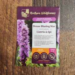 Liatris à Épi