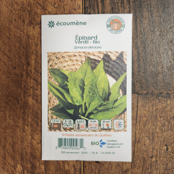 Spinach 'Verdil' organic