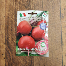 ‘Chioggia’ beet (<em>Beta vulgaris</em>)