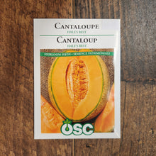 Cantaloupe 'Hale's Best'