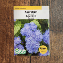 Ageratum Blue Mink