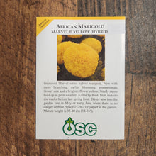 Marigold 'Marvel Yellow'