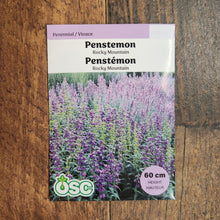 Penstémon 'Rocky Mountain'