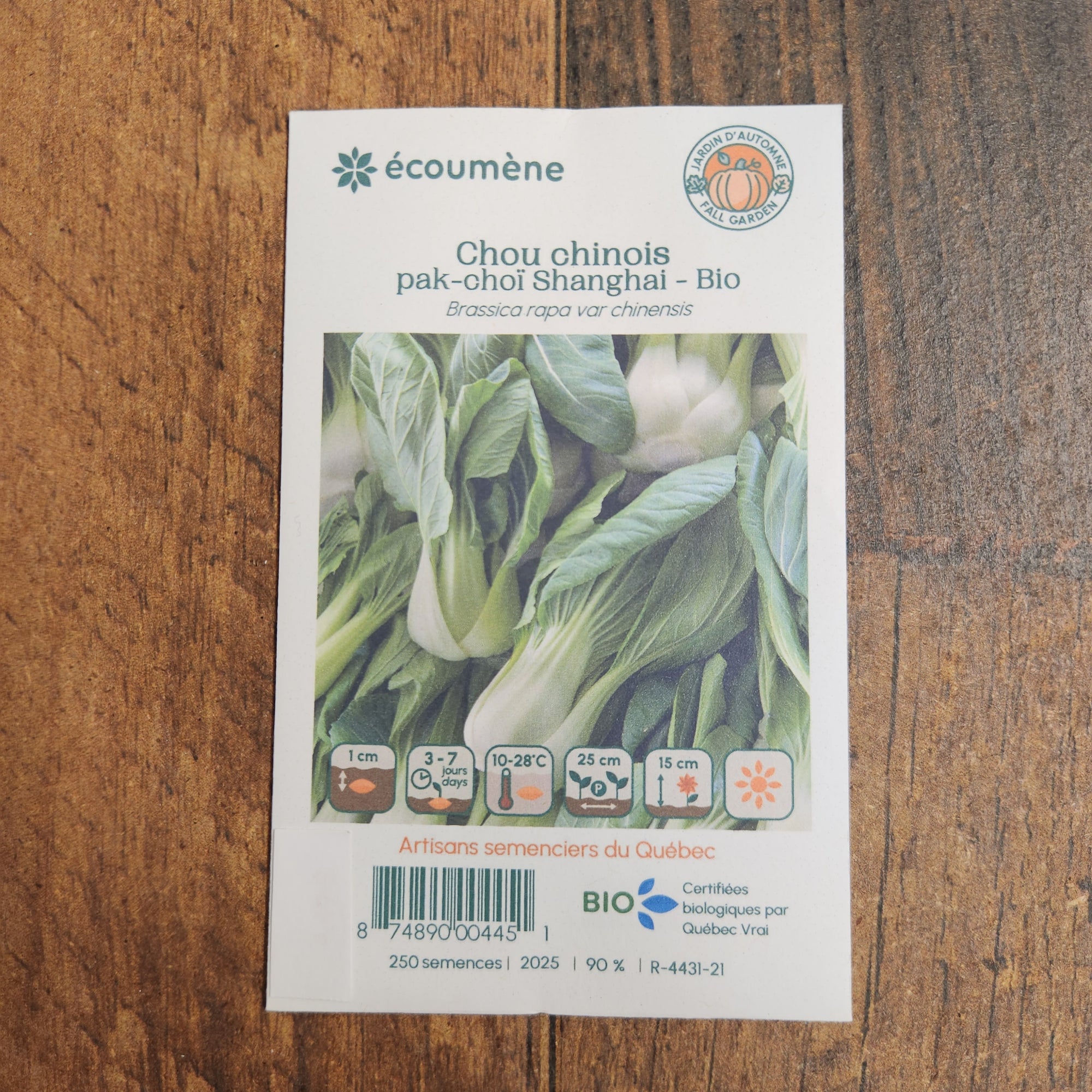 Sachet de semences Chou chinois Pak-Choï Shanghai. Emballage blanc photographié de face sur un fond de bois brun. Une image du végétal occupe la partie centrale, sous le nom imprimé. De petits pictogrammes et un code-barres apparaissent au bas du sachet. La marque Écoumène figure dans la partie supérieure de cette présentation.