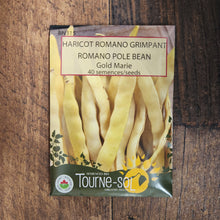 Organic climbing Romano bean 'Gold Marie'
