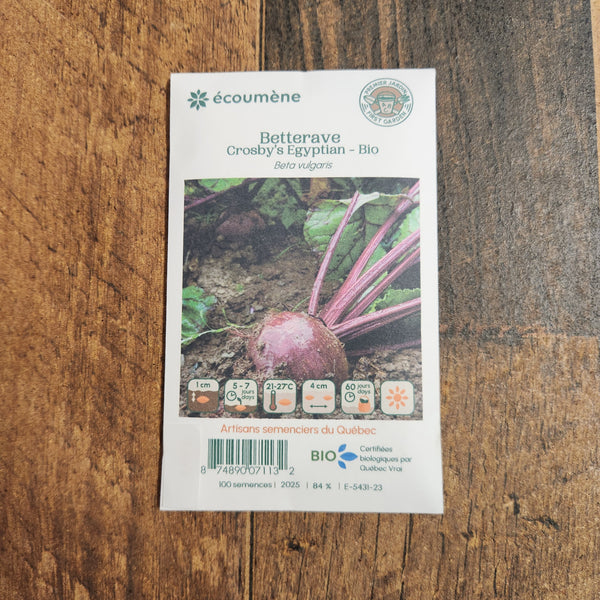 Beetroot 'Crosby's Egyptian' Organic