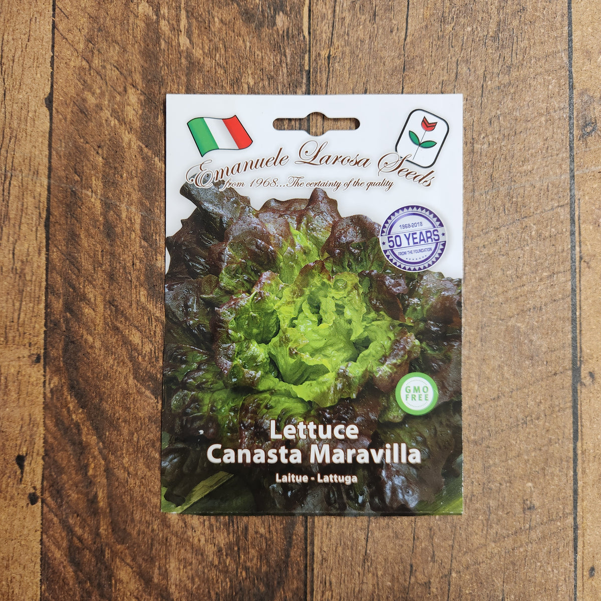 Head lettuce 'Canasta'