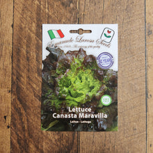 Head lettuce 'Canasta'