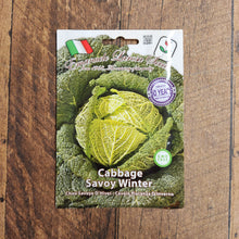 Savoy Winter Cabbage 'Di Piacenza'