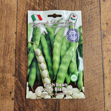 Bush bean 'Cocco Bianco'