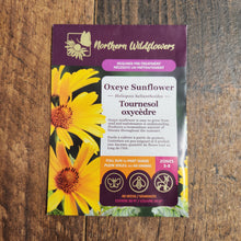 Sunflower Oxycedre