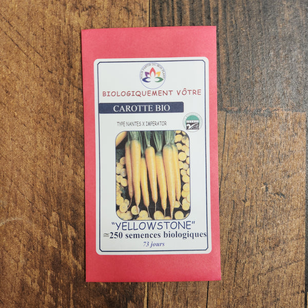 Carrot 'Yellowstone' yellow