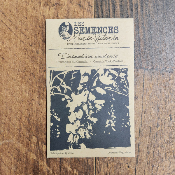 Desmodie du Canada