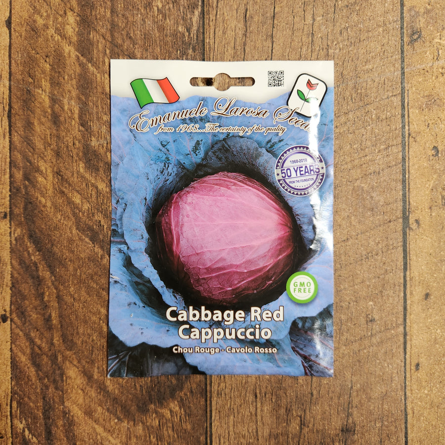 Chou rouge 'Red Cappuccio'