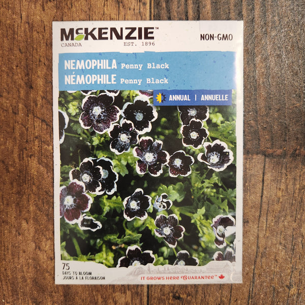Nemophila 'Penny Black'