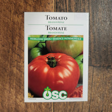 Tomato 'Brandywine'
