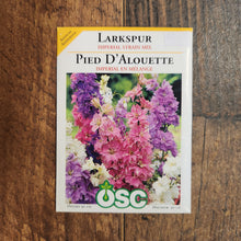Larkspur 'Imperial Strain Mix'