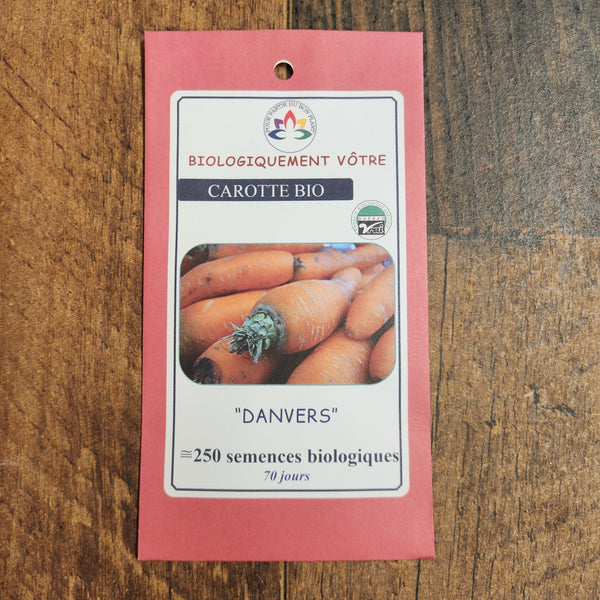 Organic 'Danvers' carrot
