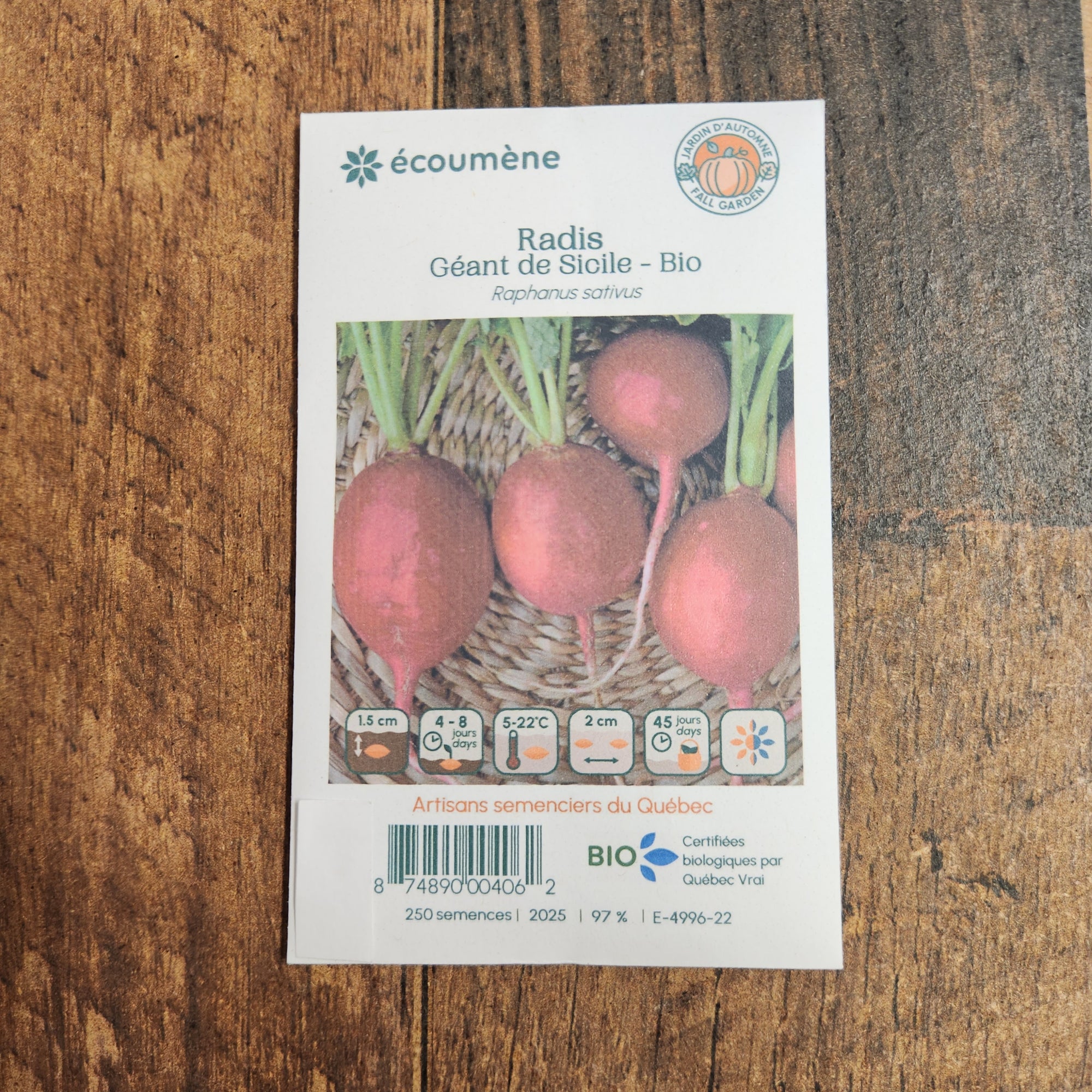 Organic 'Giant of Sicily' radish