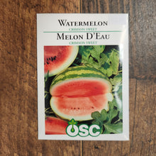 Watermelon 'Crimson Sweet'