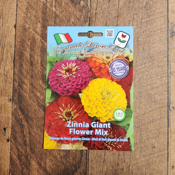 Giant Zinnia Mix
