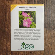  Perennial Geranium 'Sanguineum'