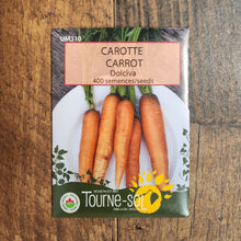 Organic 'Dolciva' carrot
