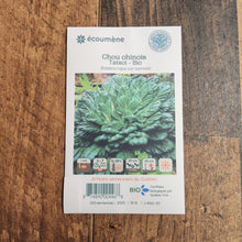 Organic Chinese cabbage 'Tatsoi'