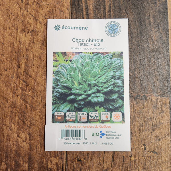 Organic Chinese cabbage 'Tatsoi'