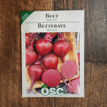 Beet  'Red Ace'