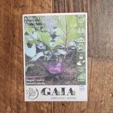 Kohlrabi 'Kolibri F1' 