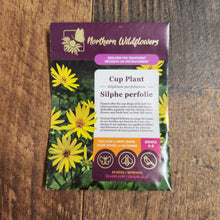 Cup Plant