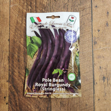 Pole bean 'Royal Burgundy - Stringless'