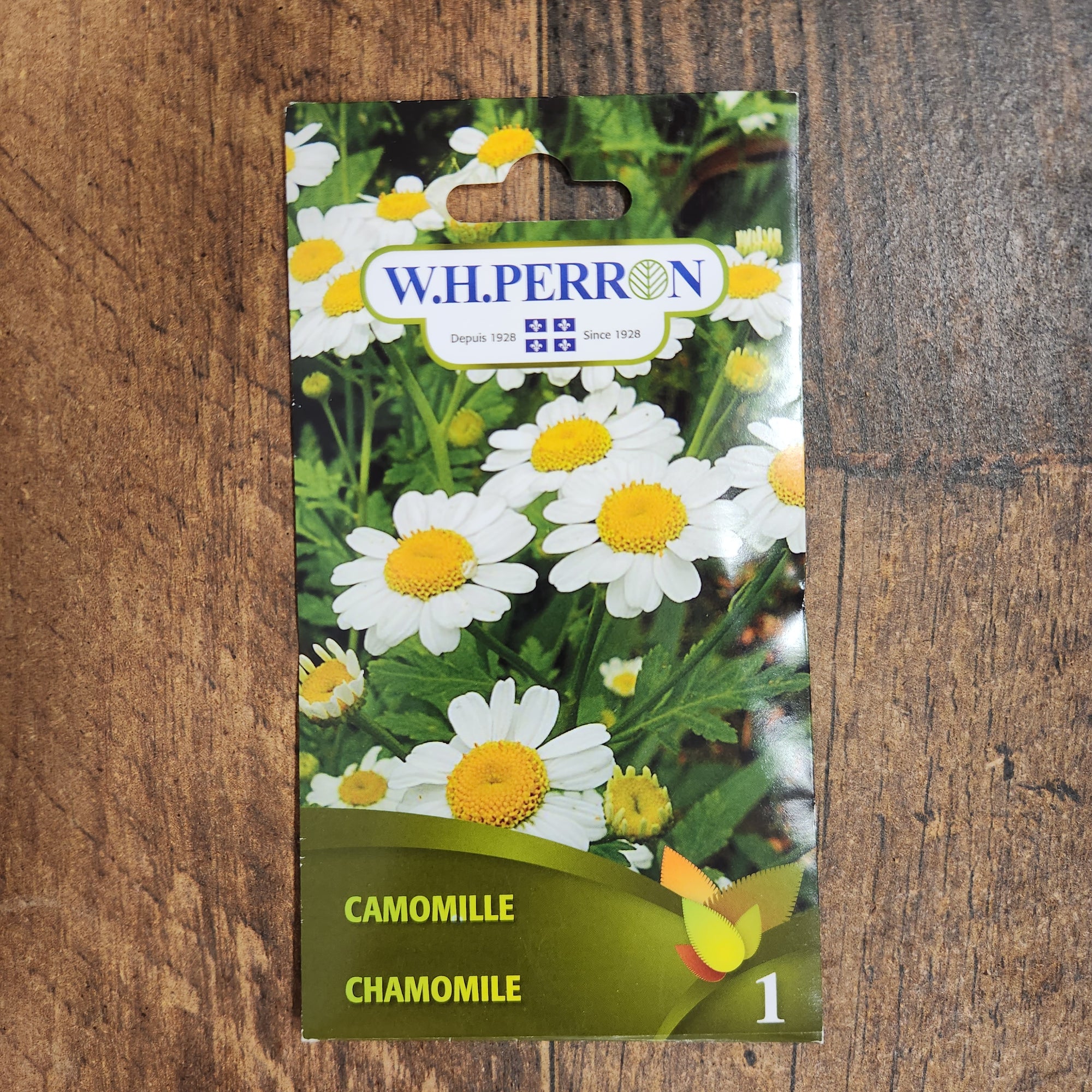 Camomille 'Ordinaire'