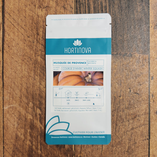 'Musknut of Provence' squash