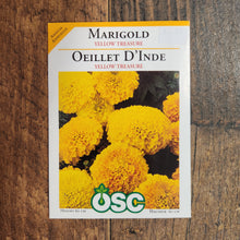 Marigold 'Yellow Treasure'