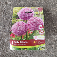 Ail ornemental ‘Party Balloons’ ( Allium ) : un sachet posé au sol illustré de grosses boules d’alliums roses. La présentation montre l’emballage avec une illustration du produit et son nom imprimé sur l’étiquette. Les informations sont regroupées sur la face visible, tandis que la photographie met en évidence le contenu ou la plante illustrée. Cette vue vous aide à reconnaître le produit présenté et son conditionnement.