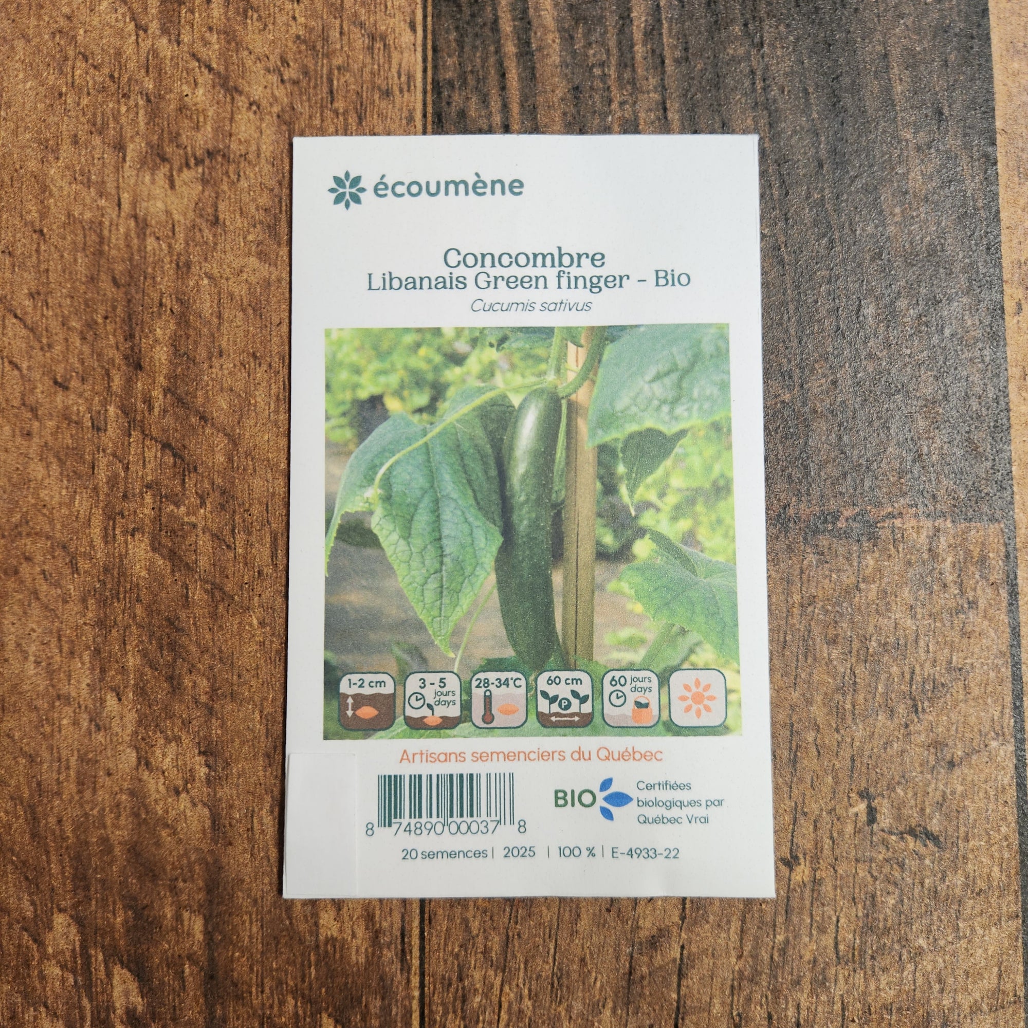 Organic Lebanese Cucumber 'Green Finger'