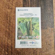 Organic Lebanese Cucumber 'Green Finger'
