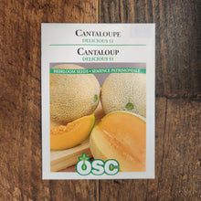 Cantaloupe 'Delicious 51'