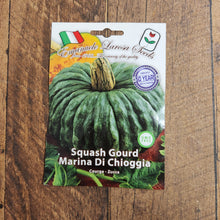Squash 'Marina di Chioggia'