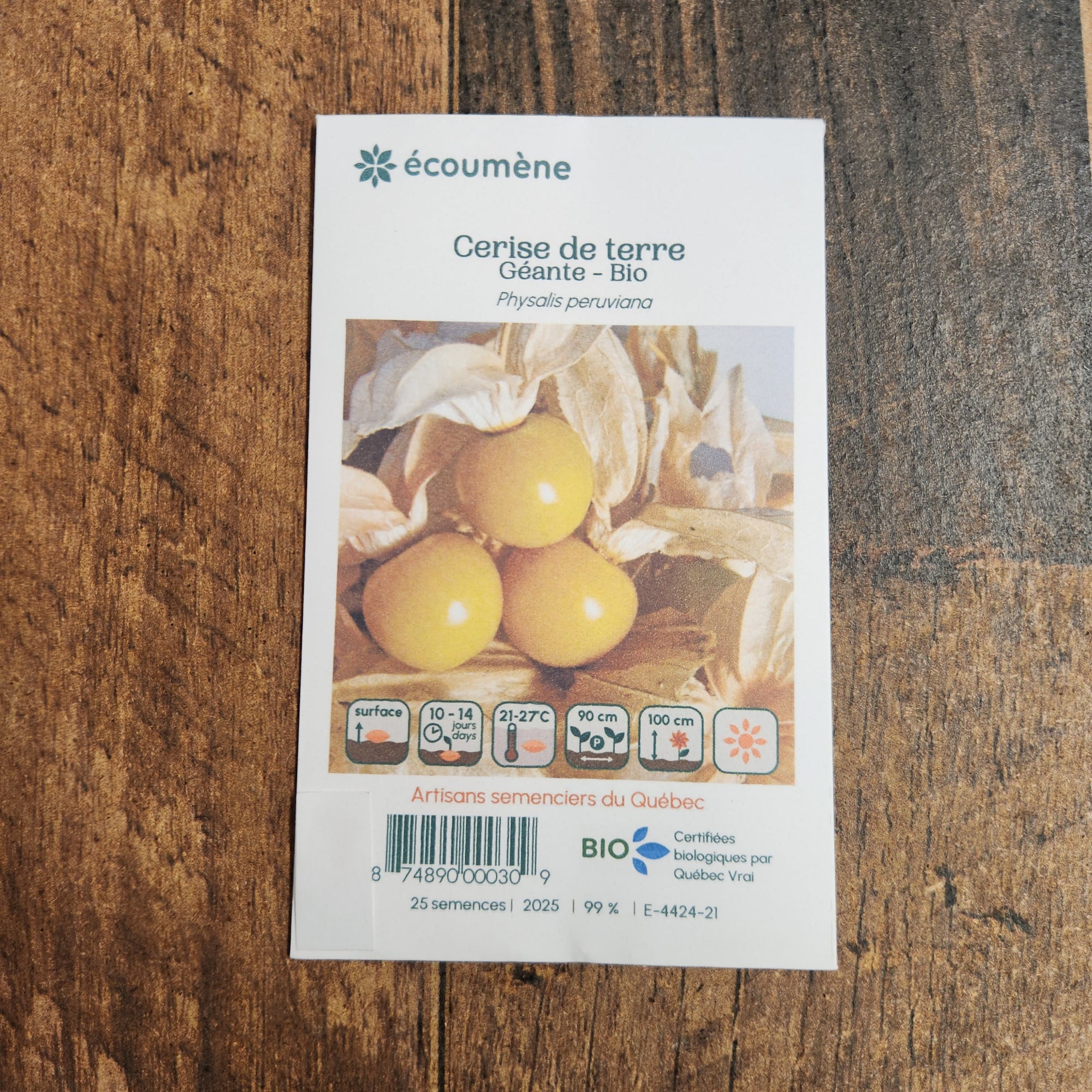 Cerise de terre géante bio